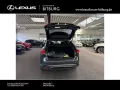 Lexus RX 350 h E-Four Executive Line Tech Paket Pano