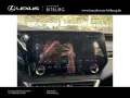 Lexus RX 350 h E-Four Executive Line Tech Paket Pano
