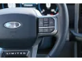 Ford F 150 3.5 V6 FHEV Limited Aut. AHK Rollo Navi LE