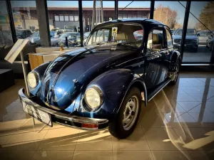 Volkswagen Käfer