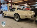 Corvette Targa Neu Lackiert