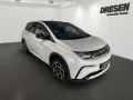 BYD Dolphin Design (MY25) 60,4 kWh Panoramadach Navi