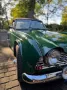Triumph TR4