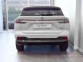 Other Mg HS 1.5 phev luxury
