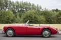 MGA
