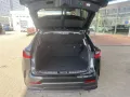 Lexus NX 350 h   Luxury Line