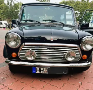 Rover Andere
