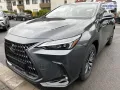 Lexus NX 350h E-Four Business*NAVI*BI-LED*CarPlay*