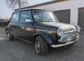 MINI 1300