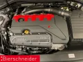Audi RS3 Sportback 19 V-MAX MATRIX-LED PANO SCHALE 5J