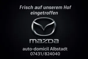 Mazda 6e EV 258 PS Takumi Bose/360°/Pano/Matrix