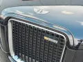 LEVC TX Vista eCity 7 seats Range Extender Panorama