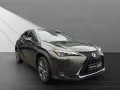 Lexus UX 250h*FSPORT-D*1HD*ALLWR*CARPLAY* 15J-GARANTIE