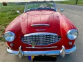 Austin Healey 100/6