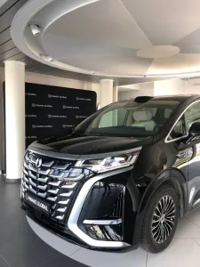 BYD DENZA D9 - FLAGSHIP - FULL!