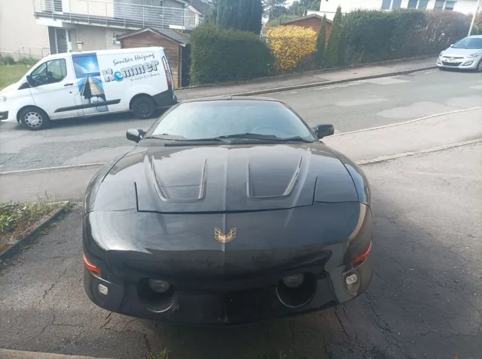 Pontiac Trans Am (Projektfahrzeug Abgemeldet Kein Tüv)