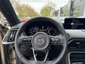 Mazda CX-60 MY2026 3,3d 254PS AWD Homura Plus Nappa Br