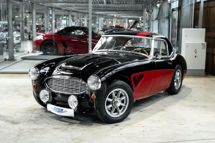 Austin Healey 100/6 BN4 - Sport Rallye - Weber - Sidepiepes