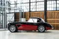 Austin Healey 100/6 BN4 - Sport Rallye - Weber - Sidepiepes