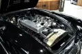 Austin Healey 100/6 BN4 - Sport Rallye - Weber - Sidepiepes