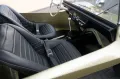 Volkswagen Buggy Meyers Manx