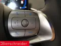 BYD Dolphin Surf Comfort PANO NAVI 360 LEDER