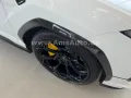 Lamborghini Urus 4.0 V8 Performante Full Carbon Ad Personam