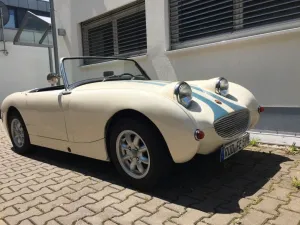 Austin Healey Frogeye