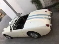 Austin Healey Frogeye