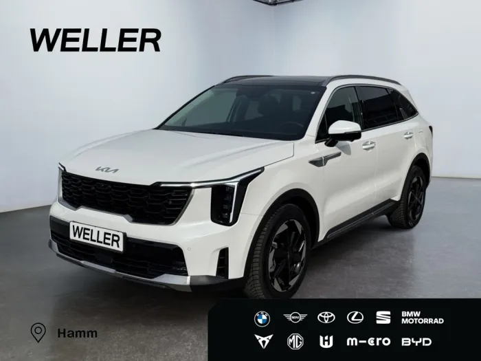 Kia Sorento 1.6T-GDI Hybr AWD Vision *AHK*360°*Pano*