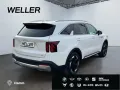 Kia Sorento 1.6T-GDI Hybr AWD Vision *AHK*360°*Pano*