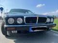 Jaguar XJ12 / XJ81 sehr seltenes Fahrzeug