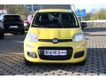 Fiat Pandina PANDA ICON HYBRID 1.0 GSE 65PS PDC RADIO