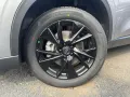 GWM Haval H6 1.5 HEV DHT Premium App-Navi Kamera LED