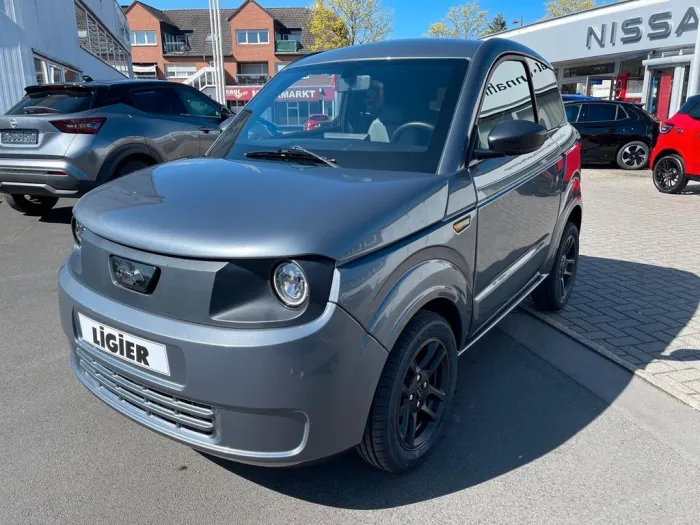 Ligier Myli MAX / Servo / Multimedia Carplay
