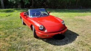 Alfa Romeo Spider 115 - Oldtimer - H-Kennzeichen