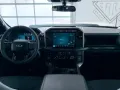 Ford F 150/5.0/V8/4X4/Facelift