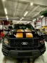 Ford F 150/5.0/V8/4X4/Facelift