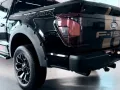 Ford F 150/5.0/V8/4X4/Facelift