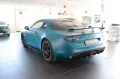 Alpine A110 R Turini 300 PS Sonderedition Nr. 199