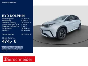 BYD Dolphin Design LED PANO NAVI 360