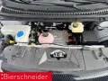 BYD Dolphin Design LED PANO NAVI 360