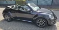Volkswagen Beetle Allstar - technisch und optisch sehr gut