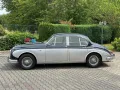Jaguar Andere