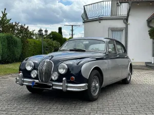 Jaguar Andere