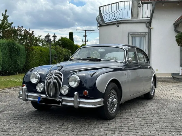 Jaguar Andere