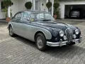 Jaguar Andere
