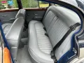 Jaguar Andere