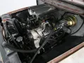 Ford F 100