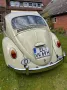 Volkswagen Käfer
